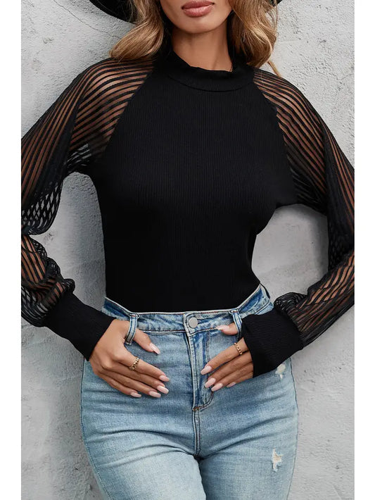 Black Striped Mesh Long Sleeve Crewneck Ribbed Top